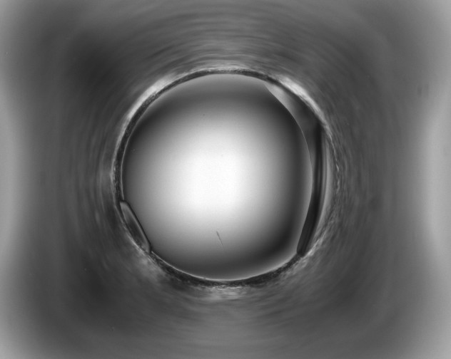 X0000087521181200704271135