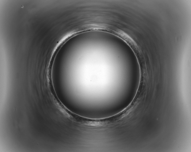 X0000087521182200704271135