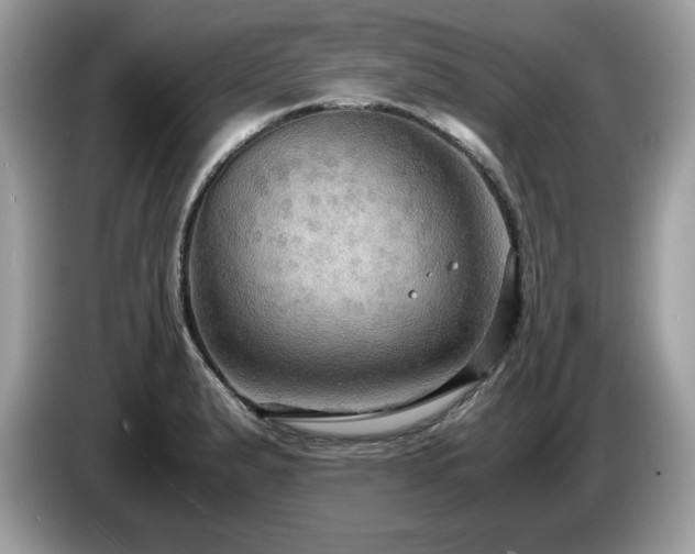 X0000087521183200704271135