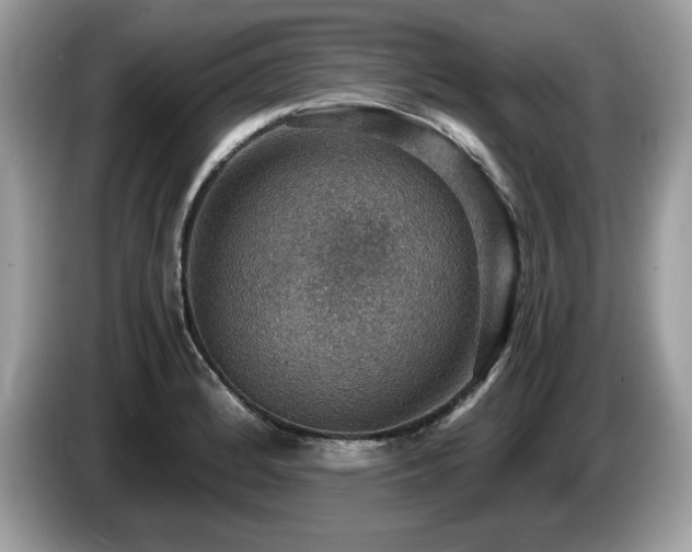 X0000087521184200704271135