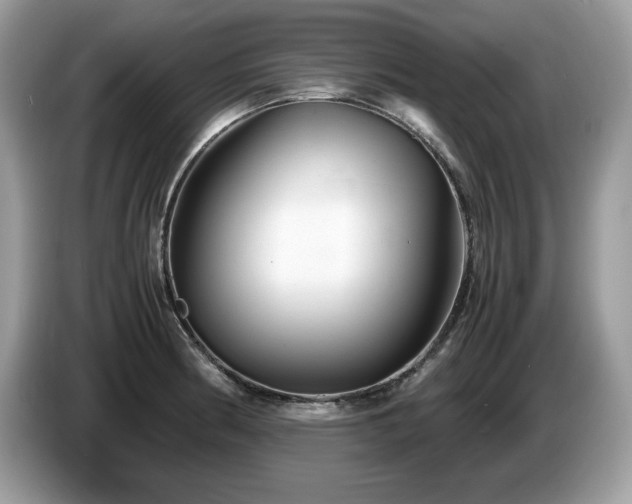 X0000087521186200704271135