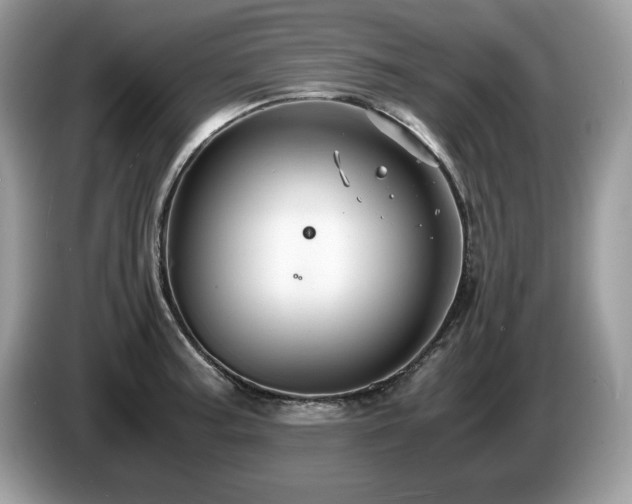 X0000087521187200704271135