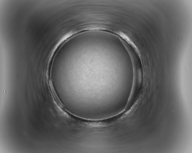 X0000087521189200704271135