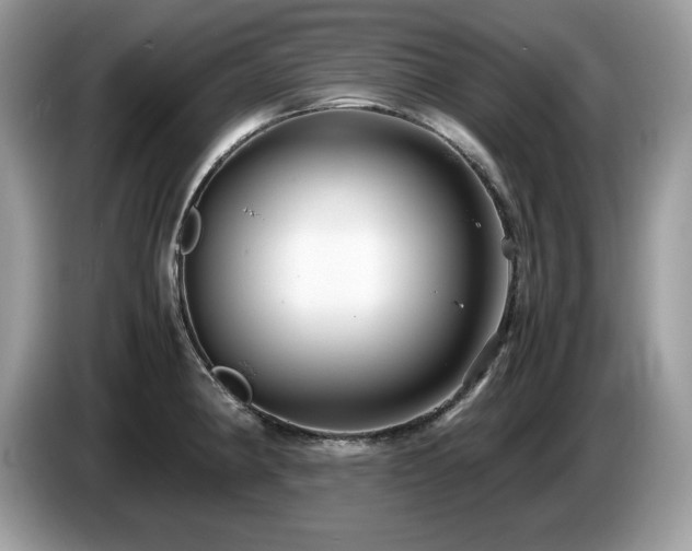 X0000087521190200704271135