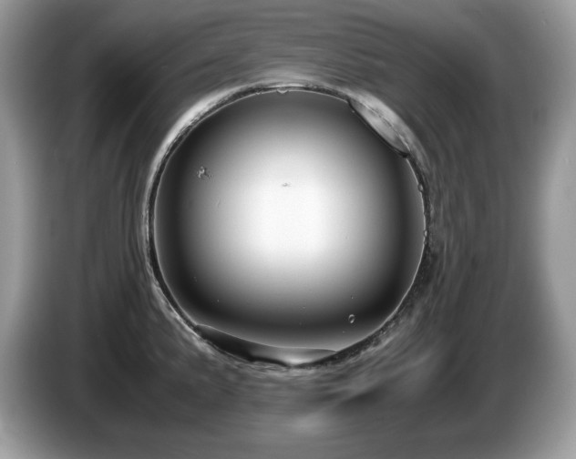 X0000087521191200704271135