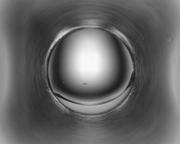 X0000087521192200704271135