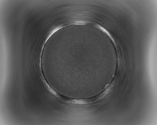 X0000087521194200704271135
