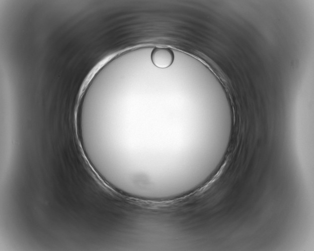 X0000087521196200704271135