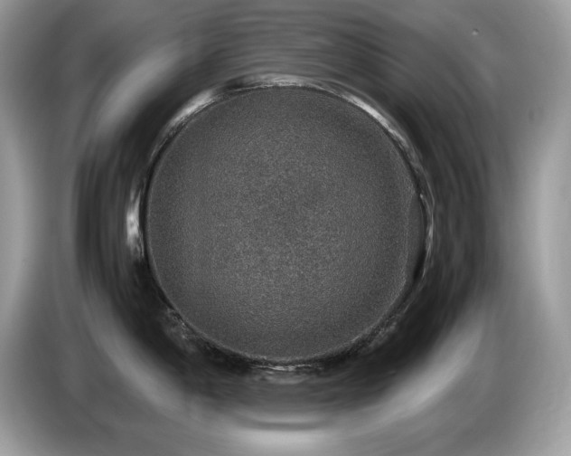 X0000087521198200704271135