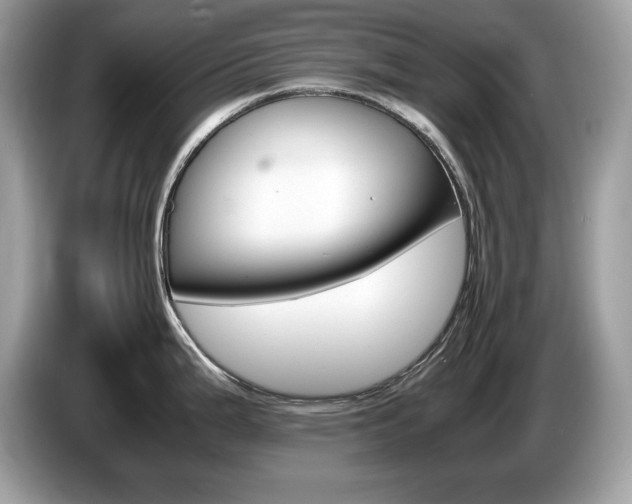 X0000087521199200704271135