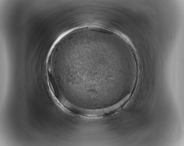 X0000087521200200704271135