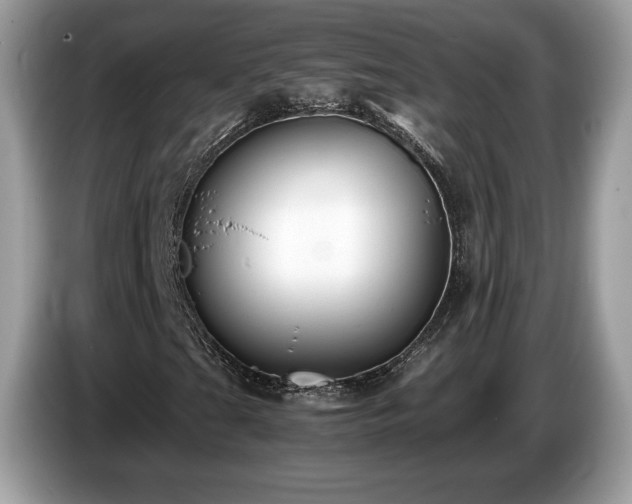 X0000087521201200704271134