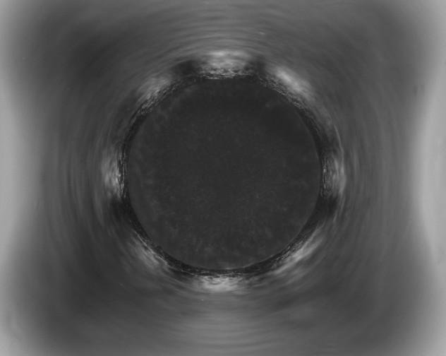 X0000087521202200704271134