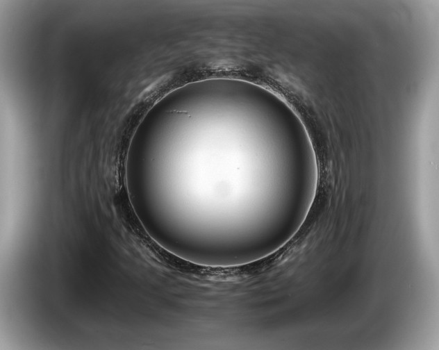 X0000087521205200704271134