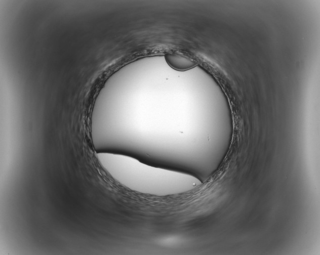 X0000087521207200704271134