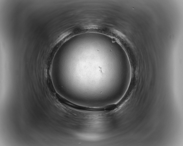 X0000087521209200704271134