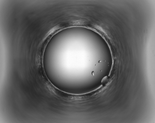 X0000087521211200704271134