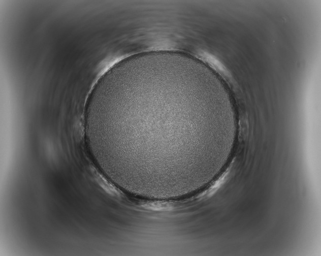 X0000087521212200704271134