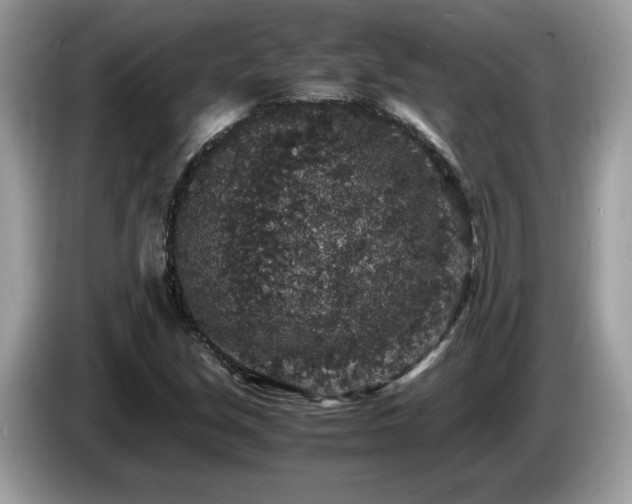 X0000087521213200704271134