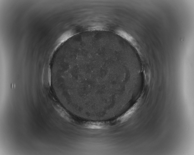 X0000087521219200704271134