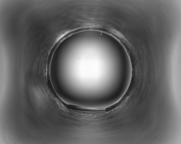 X0000087521220200704271134