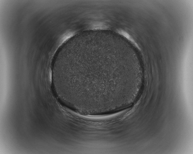 X0000087521221200704271134