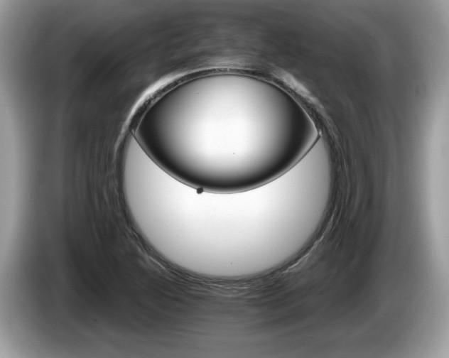 X0000087521222200704271134