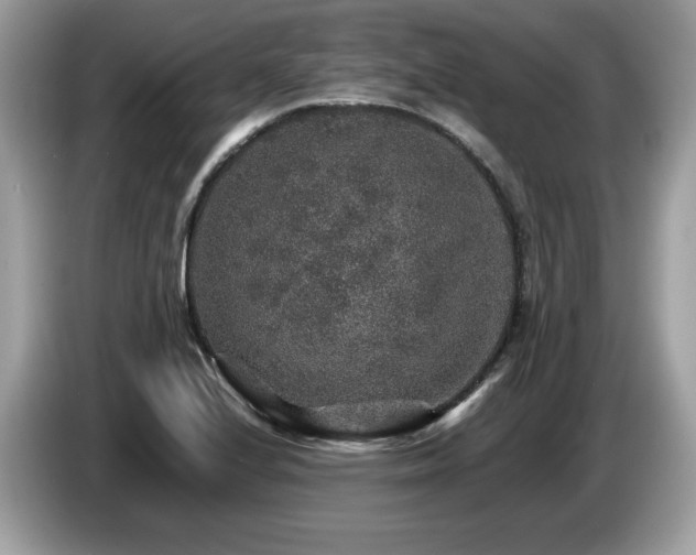 X0000087521224200704271134