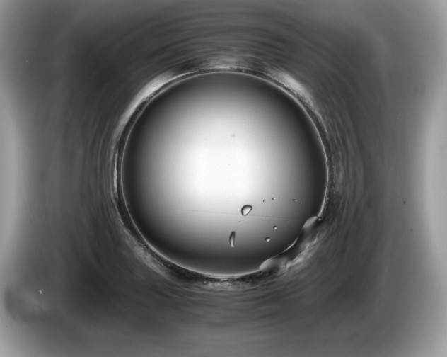 X0000087521227200704271134