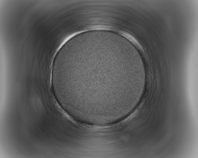 X0000087521228200704271134