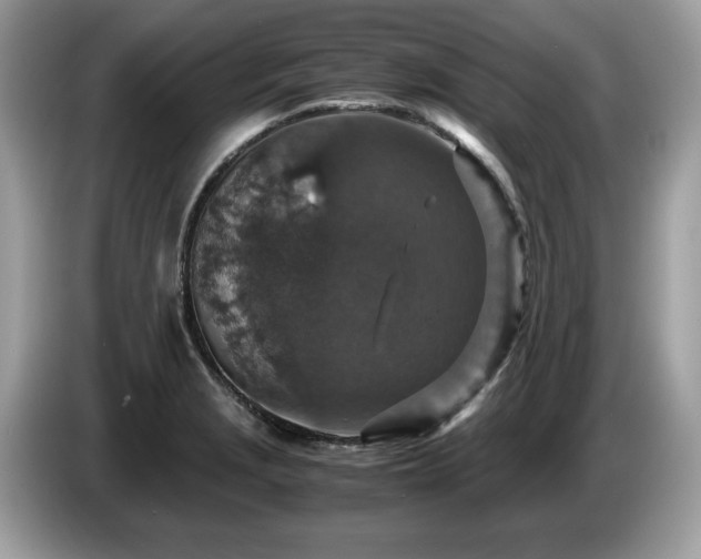 X0000087521229200704271134