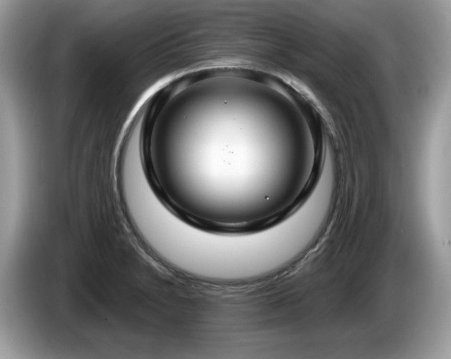 X0000087521230200704271134