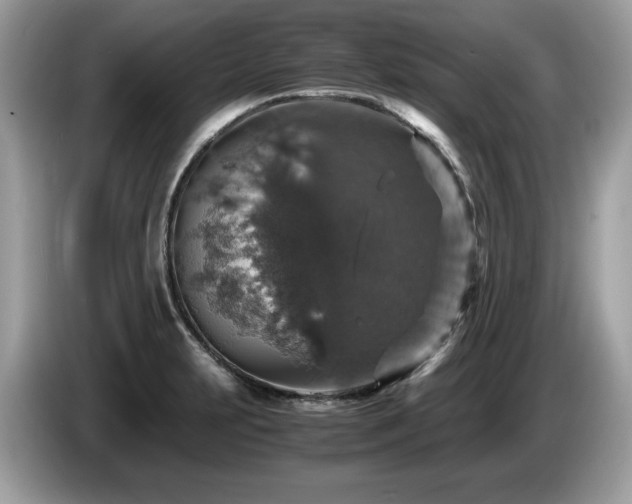 X0000087521231200704271134
