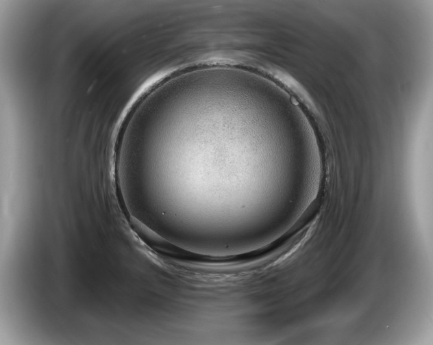X0000087521232200704271134