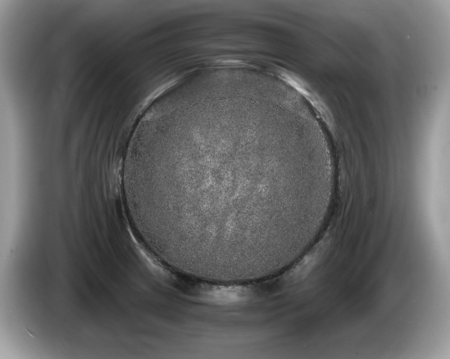 X0000087521233200704271134