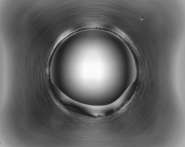 X0000087521234200704271134