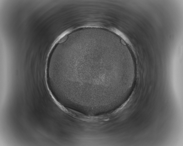 X0000087521237200704271135