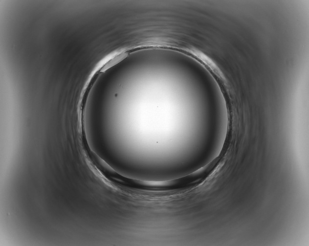 X0000087521238200704271135