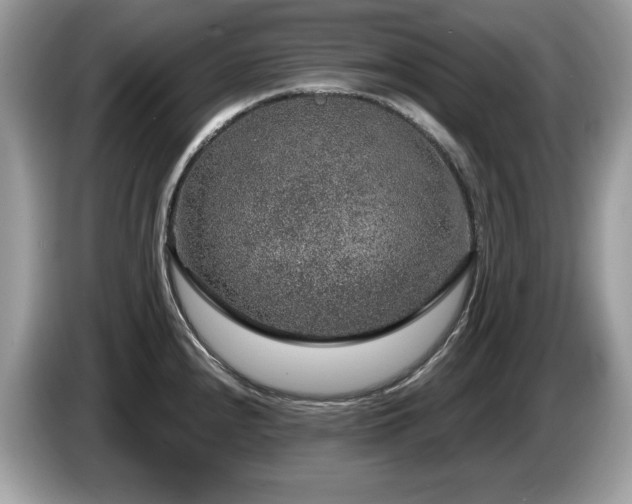 X0000087521240200704271135