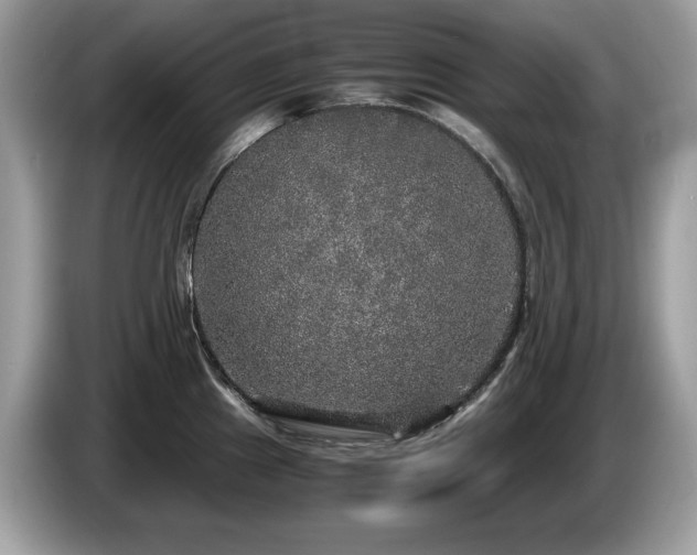 X0000087521241200704271135