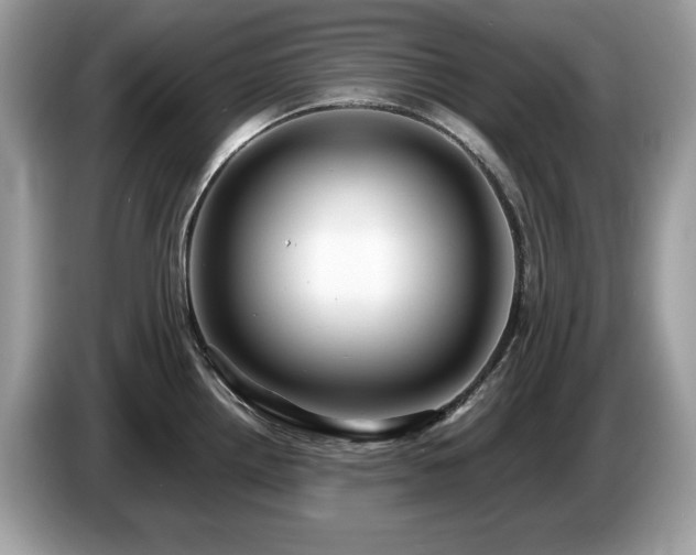 X0000087521242200704271135