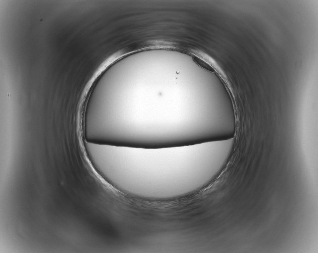 X0000087521243200704271135