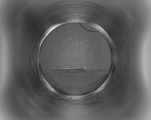 X0000087521244200704271135
