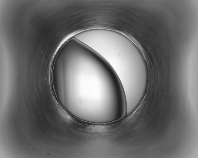 X0000087521246200704271135