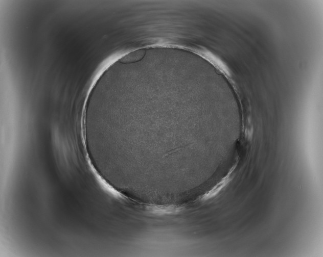 X0000087521247200704271135