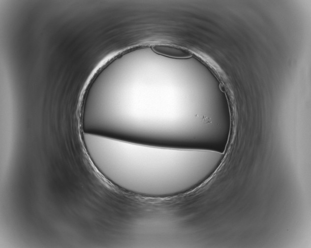 X0000087521248200704271135