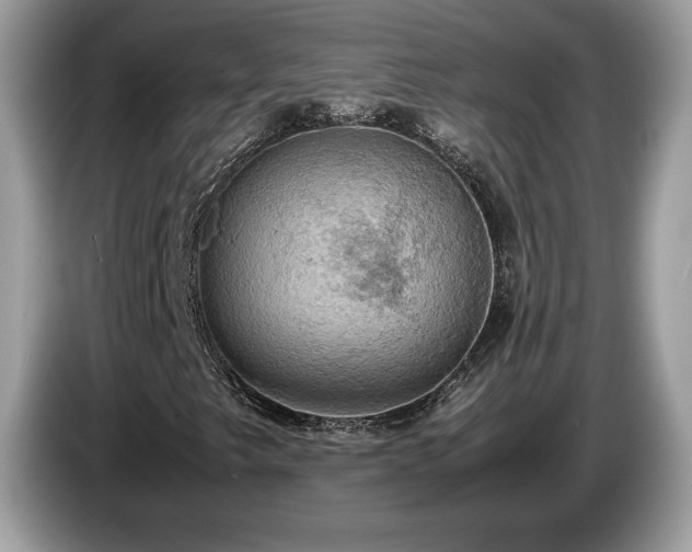 X0000087521249200704271134