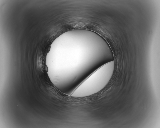 X0000087521250200704271134
