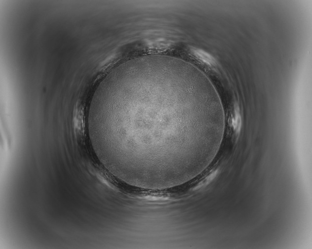 X0000087521252200704271134