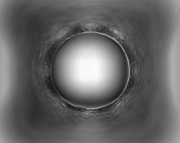 X0000087521253200704271134